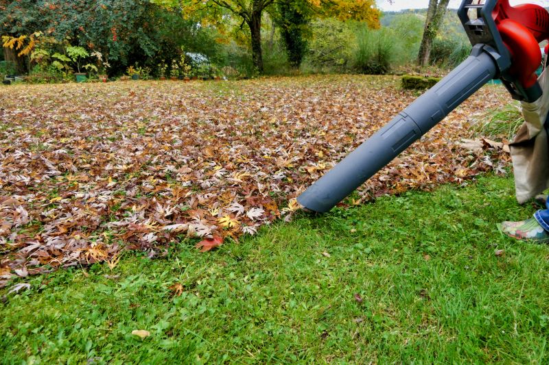 Pro Equipment for Leaf Removal