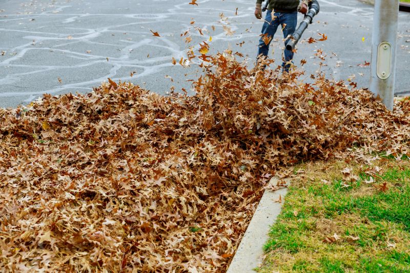 Removing Leaves with Power Blowers