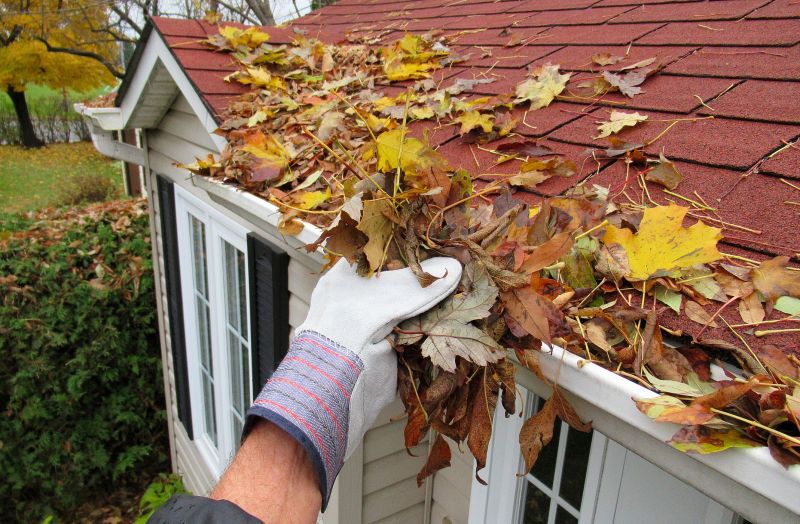 Benefits of Leaf Cleanup