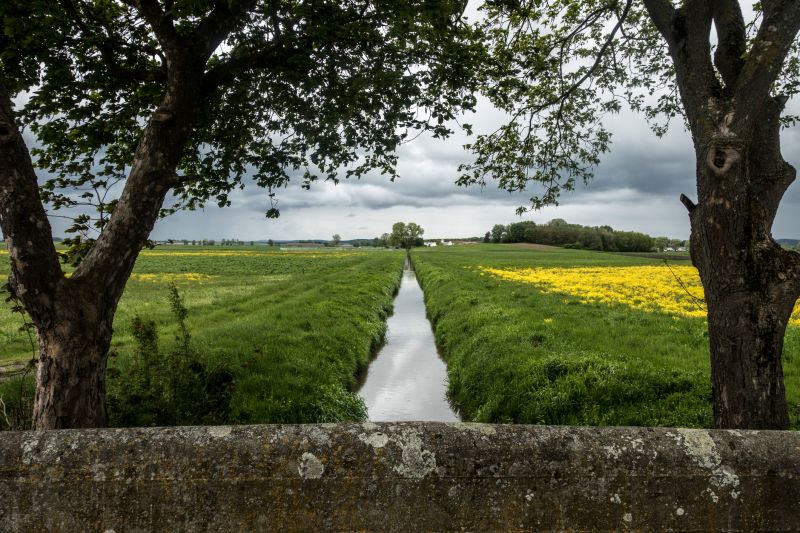 Get Ditch Cleaning To Control Vegetation!