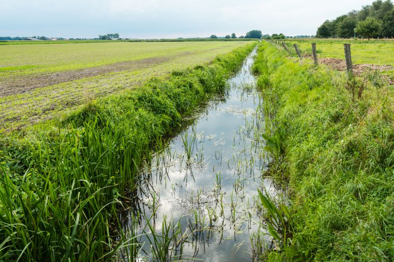 Improve Drainage With Professional Ditch Cleaning!
