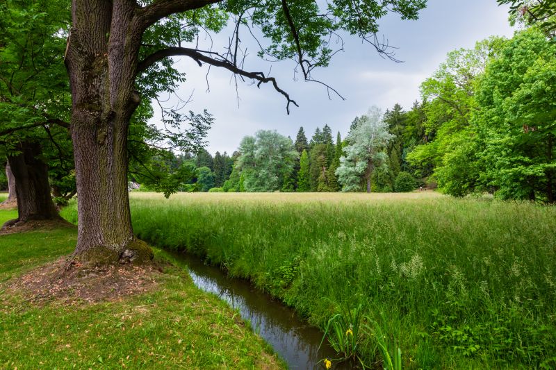 Improve Environmental Health By Investing in Professional Ditch Cleaning!