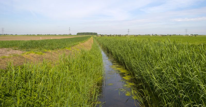 Prevent Flooding By Getting Your Ditch Cleaned!