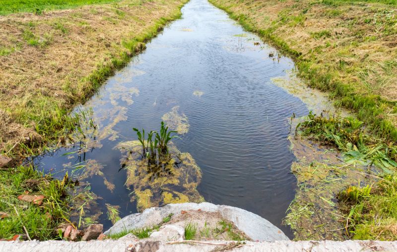 Top Rated Ditch Cleaning Tools
